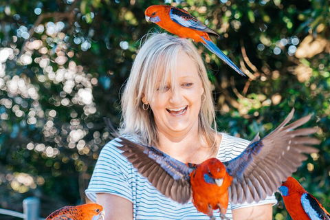 Aquaduck & Your Choice Of Gold Coast Rainforest Tour - Sydney Tourism 5