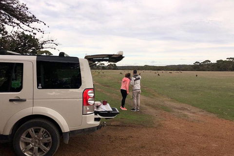 Kangaroo Island 4WD Tour - Flinders Chase - Sydney Tourism 3