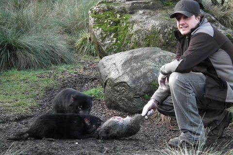 After Dark Tasmanian Devil Feeding Tour At Cradle Mountain - Sydney Tourism 2
