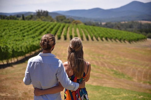 Yarra Valley Wine, Bubbles And Gin Tour! - Sydney Tourism 4