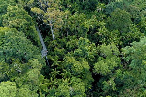 Natural Bridge, Skywalk And Mt Tamborine Adventure! - Sydney Tourism 2