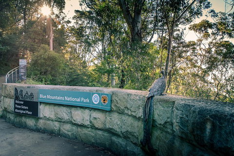 Ultimate Blue Mountains Waterfalls, Walks & Sunset PRIVATE Tour - Sydney Tourism 3