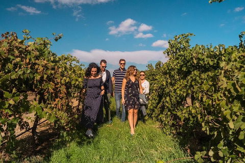 Barossa Valley Private Tour (from 2 To 11 People) - Sydney Tourism 0