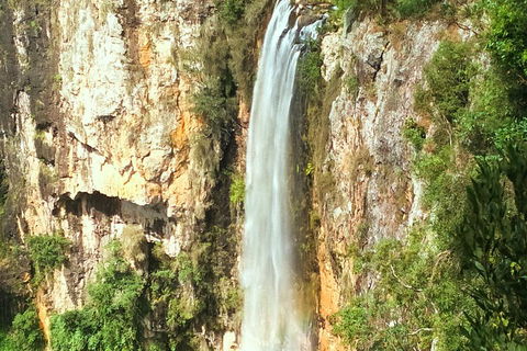 Natural Arch, Rainforest & Volcano Canyon - Private Half Day Tour - Sydney Tourism 2