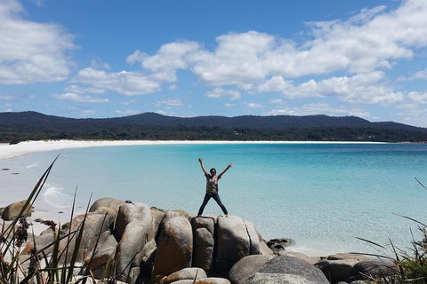 Tasmania 4 Day East Coast + Launceston - Sydney Tourism 1