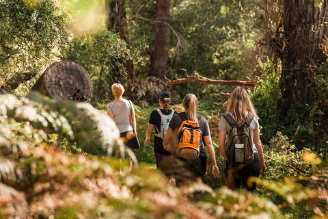 Cabaret Cave Yoga & Mindful Hike - Sydney Tourism 2