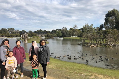 Phillip Island Penguins Private Tour - Sydney Tourism 1