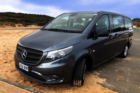 Phillip Island Penguins Private Tour - Sydney Tourism 5