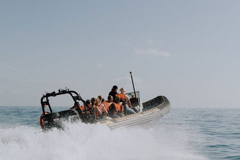Adventure Rafting - Sydney Tourism 0