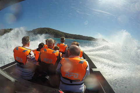 Noosa Thriller - 500hp Ocean Adventure Ride - Sydney Tourism 3