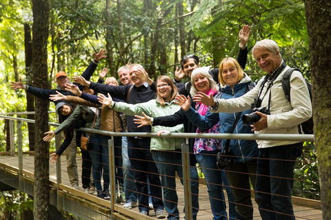 All Inclusive Blue Mountains Small-Group Day Trip From Sydney - Sydney Tourism 5