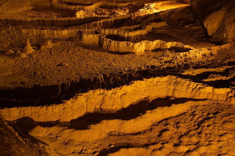 The Explorers' Discovery Tour - Gold, Wine & Wildlife - Sydney Tourism 0