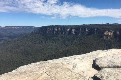 The Explorers' Discovery Tour - Gold, Wine & Wildlife - Sydney Tourism 1