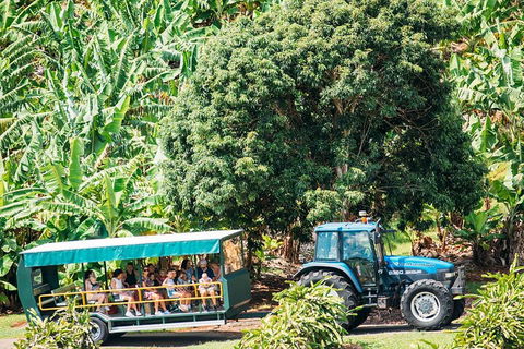 Northern Rivers Full Day Wine Tour - Sydney Tourism 1