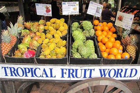 Northern Rivers Full Day Wine Tour - Sydney Tourism 3