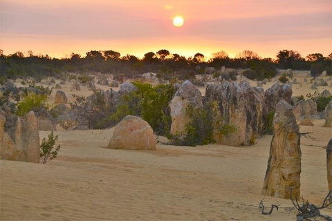 Pinnacle Desert Sunset And Stargazing With Dinner - Sydney Tourism 5