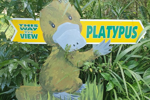 Full Day Atherton Tablelands Tour From Cairns - Sydney Tourism 5