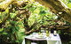 Kangaroo Island Gourmet Food And Wine Trail Tour - thumb 5