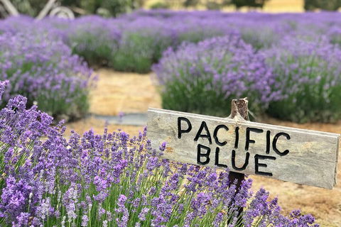 Kangaroo Island Half Day Food And Wine Trail Tour - Sydney Tourism 5