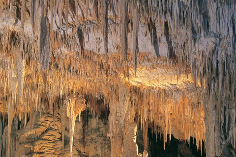 Margaret River, Caves, Wine And Cape Leeuwin Lighthouse Tour From Perth - Sydney Tourism 3