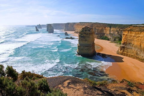Great Ocean Road Small-Group Ecotour From Melbourne - Sydney Tourism 2