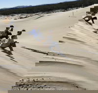 Port Stephens Bush Beach and Sand Dune 4WD Tag-Along Tour - Sydney Tourism