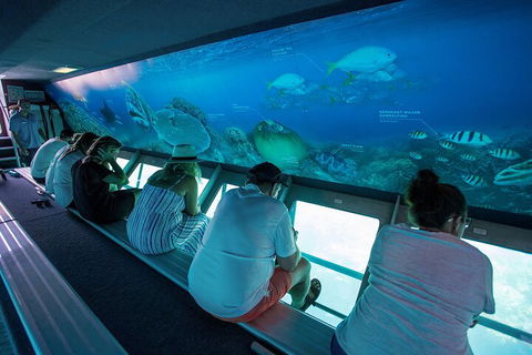 Great Barrier Reef Day Cruise To Reefworld - Sydney Tourism 0