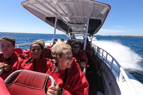 Adventure Rottnest Tour With Ferry & Adventure Cruise From Perth Or Fremantle - Sydney Tourism 0