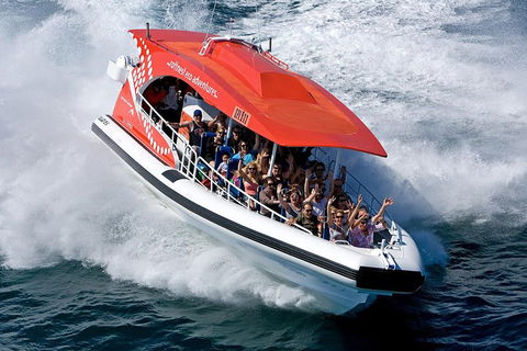 Adventure Rottnest Tour With Ferry & Adventure Cruise From Perth Or Fremantle - Sydney Tourism 2