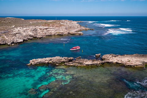 Adventure Rottnest Tour With Ferry & Adventure Cruise From Perth Or Fremantle - Sydney Tourism 3