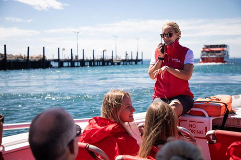 Adventure Rottnest Tour With Ferry & Adventure Cruise From Perth Or Fremantle - Sydney Tourism 4