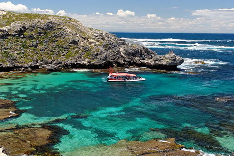Adventure Rottnest Tour With Ferry & Adventure Cruise From Perth Or Fremantle - Sydney Tourism 5