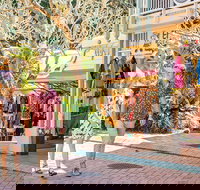 Full Day Sunshine Coast Hinterland Luxury Small Group Tour from Brisbane - Sydney Tourism