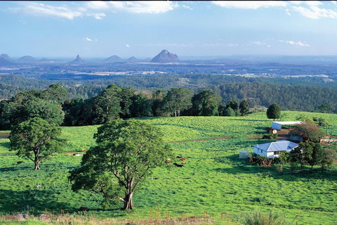 Full Day Sunshine Coast Hinterland Luxury Small Group Tour From Brisbane - Sydney Tourism 2