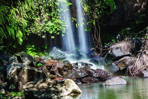 Full Day Small Group Luxury Tour To Tamborine Mountain - Sydney Tourism 0