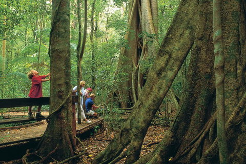 Full Day Small Group Luxury Tour To Tamborine Mountain - Sydney Tourism 1