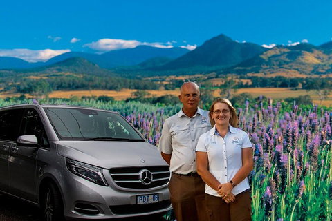 Full Day Small Group Luxury Tour To Tamborine Mountain - Sydney Tourism 3