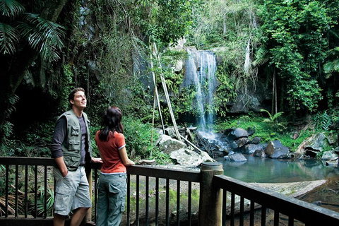 Full Day Small Group Luxury Tour To Tamborine Mountain - Sydney Tourism 4