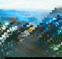 Springbrook National Park  Gold Coast Full Day Luxury Tour from Brisbane - Sydney Tourism