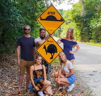 Cape Tribulation Daintree Rainforest and Wildlife Tour - Sydney Tourism