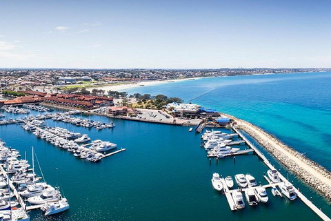 Glass Bottom Boat & Entry At AQWA - Sydney Tourism 2