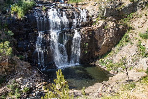 Grampians National Park With Kangaroos And MacKenzie Falls From Melbourne - Sydney Tourism 1