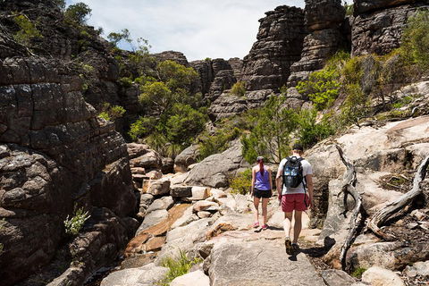 Grampians National Park With Kangaroos And MacKenzie Falls From Melbourne - Sydney Tourism 3