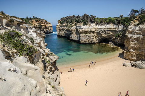 Great Ocean Road Reverse Itinerary With 12 Apostles From Melbourne - Sydney Tourism 5