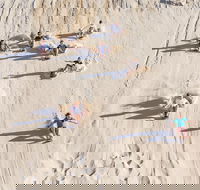 Unlimited Sandboarding - Sydney Tourism