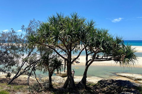 Full-Day Small Group Tour To North Stradbroke Island - Sydney Tourism 5