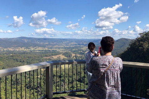 Sunshine Coast Private Scenic Guided Tour Inc. 2-Course Gourmet Lunch - Sydney Tourism 4