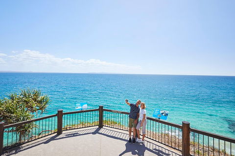 Noosa Everglades Serenity Cruise & Highlights Tour Inc. Lunch & Cruise - Sydney Tourism 3