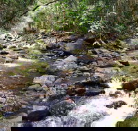 Springbrook Full Day Tour - Sydney Tourism