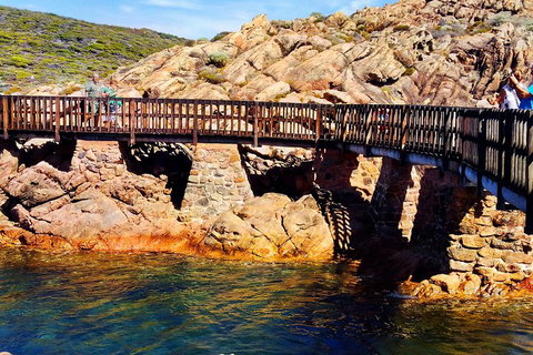 Margaret River (Private) Day Tour - Sydney Tourism 3